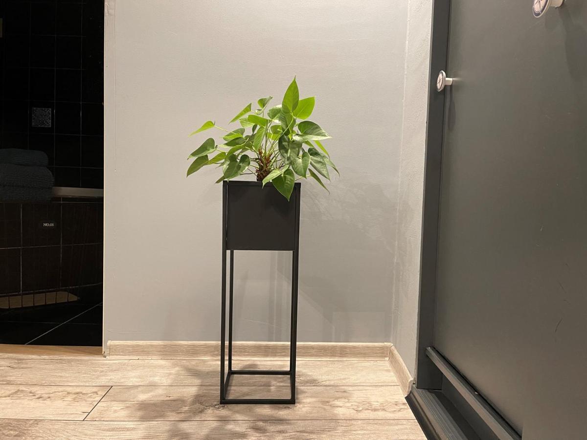 Apartamenty Pod Uwalonym Debem Jezow Sudecki Eksteriør billede