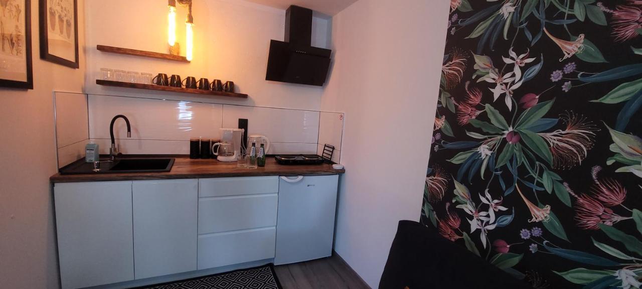 Apartamenty Pod Uwalonym Debem Jezow Sudecki Eksteriør billede